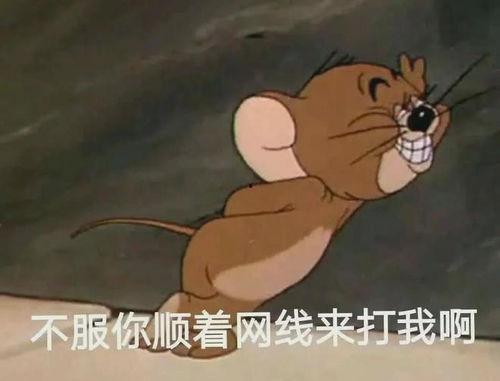 最新爆料老鼠,老鼠生成背后的科技秘密与伦理争议 第3张 最新爆料老鼠,老鼠生成背后的科技秘密与伦理争议 第3张