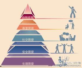 美国在线观看理论,揭秘数字时代的观影新趋势  第1张