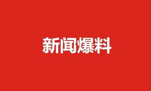 爆料新闻小说在线阅读全文,爆料新闻背后的真相与秘密 第2张 爆料新闻小说在线阅读全文,爆料新闻背后的真相与秘密 第2张