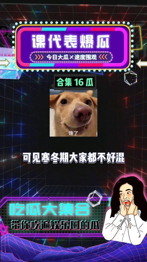 娱乐吃瓜圈,揭秘明星幕后故事与热点事件  第3张