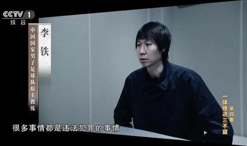 浮桥案审判长爆料视频播放,视频播放背后的真相与内幕  第2张