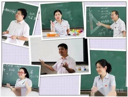 教师最新爆料视频,教育行业现状深度剖析