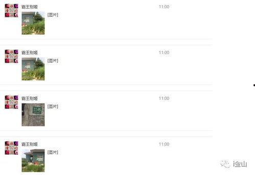 新闻爆料举报热线电话,守护正义的守护者  第2张